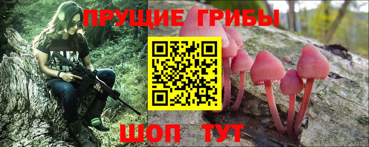 Кудрово  Галлюциногенные грибы MAGIC MUSHROOMS  Вход с VPN 