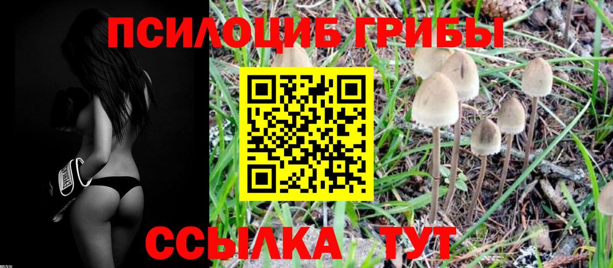 Псилоцибиновые грибы Magic Shrooms Кудрово